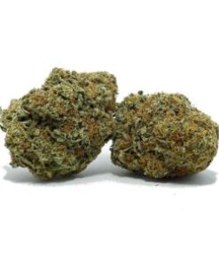 Buy Amnesia Haze Strain Online US