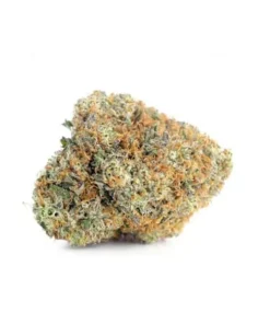 Buy Blueberry Kush Online US