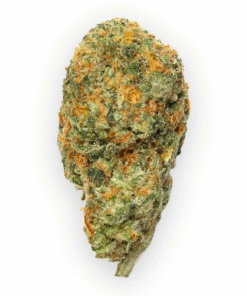 Buy Britscotti Online in the US