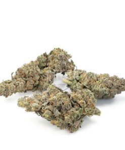 Buy Candyland Stain Online US