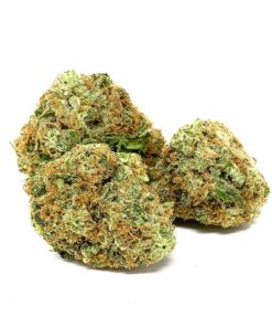 Buy Gelato Strain Online US