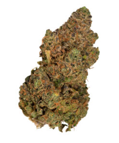 Buy Gelato x Zkittlez Online in the US