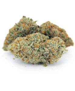 Buy Ghost Train Haze Strain Online US