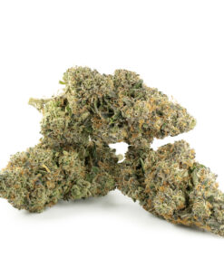 Buy Gorilla Glue Strain Online US