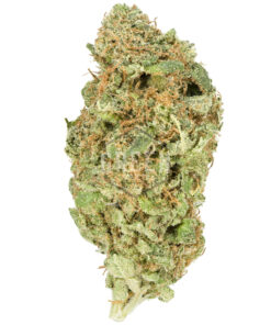 Buy Lemon Haze Strain Online US