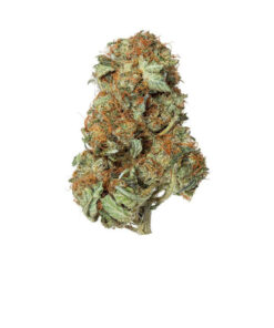Buy MK Ultra Strain Online US