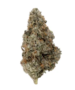 Buy Master Kush Strain Online US