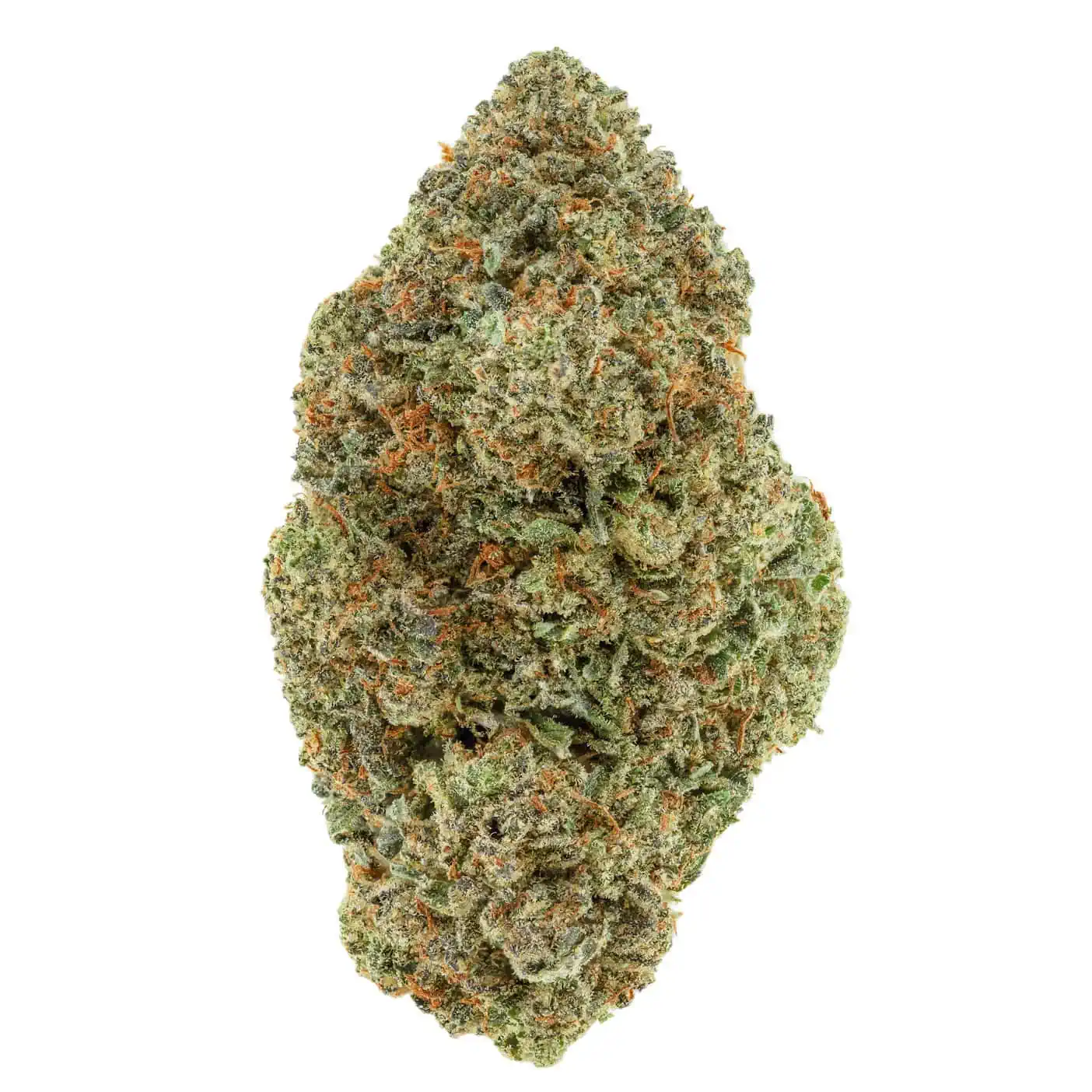 Buy Master OG strain (AAA+) Online US