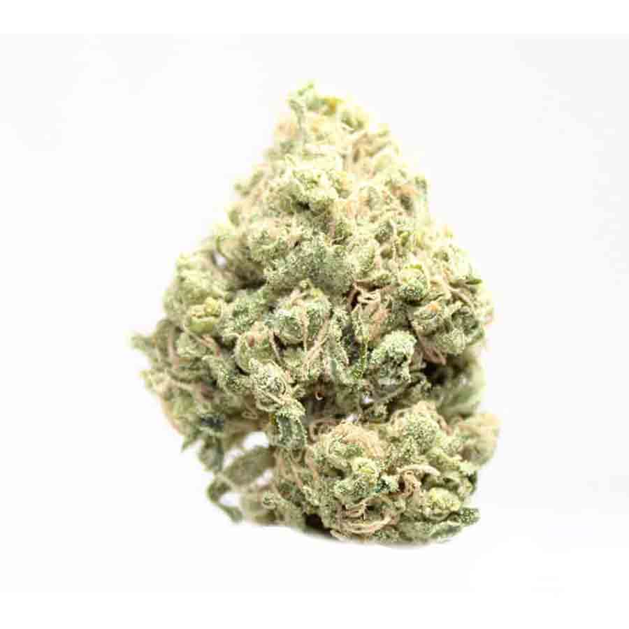 Buy Maui Wowie Strain Online US