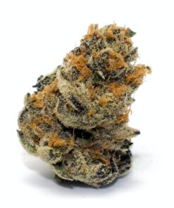 Buy Platinum Cookies Weed Strain Online US