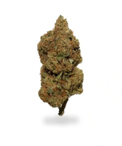 Buy White Rhino Strain Online US