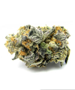 Buy Sugar Cookies Strain Online in the US