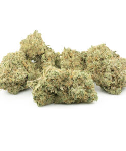 Girl Scout Cookies (GSC) Strain Online US