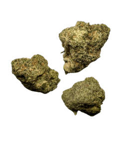 Alternative view of SS1 | Hi-Tech