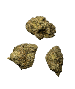 Alternative view of Zerbert