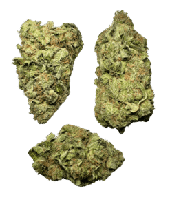 Alternative view of Trainwreck