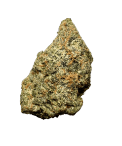 Black Cherry Gushers | Backpack Boyz