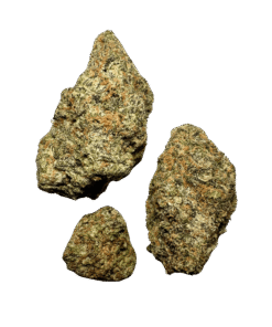 Alternative view of Black Cherry Gushers | Backpack Boyz