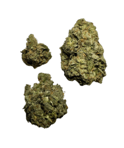 Alternative view of Z33