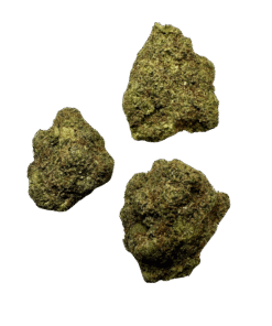 Alternative view of Gumbo (Loose Cali)