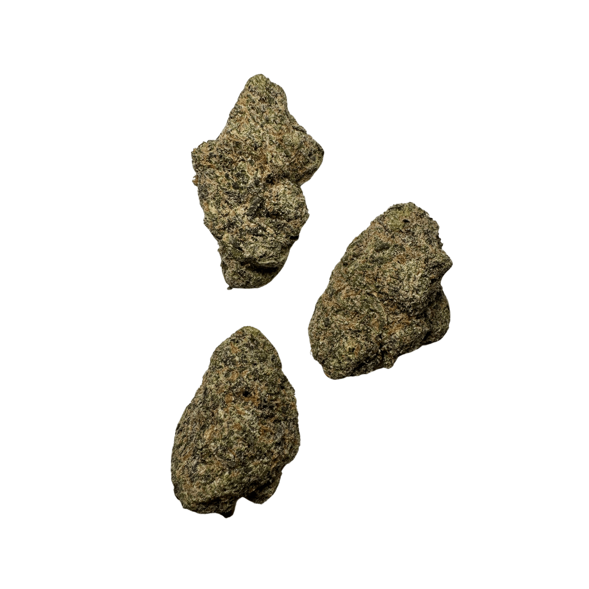 Zzapp | Terp Traders - Image 2