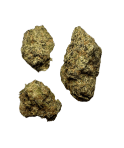 Alternative view of Gelato 33